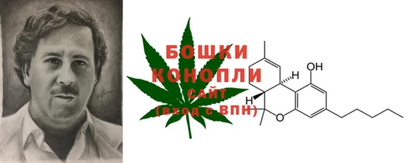 СК Белокуриха