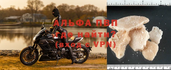 СК Белокуриха