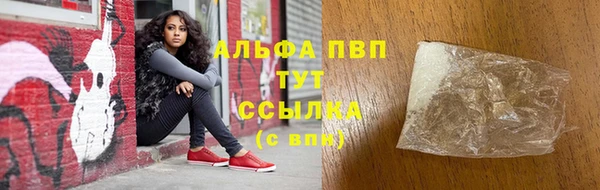 СК Белокуриха