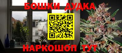 PSILOCYBIN Берёзовский
