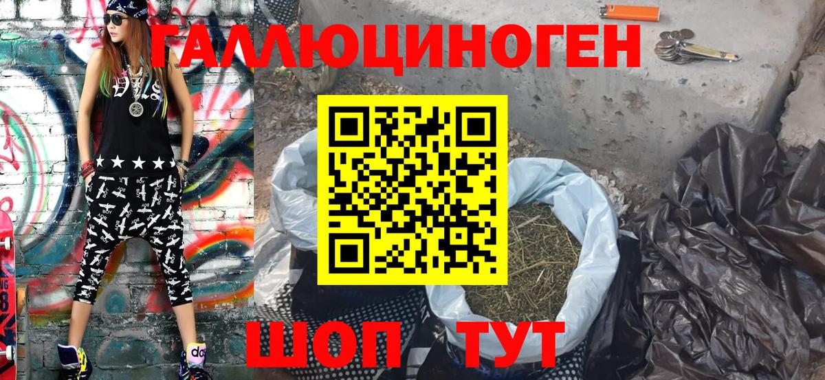 Гусев  Галлюциногенные грибы MAGIC MUSHROOMS  Вход с VPN 